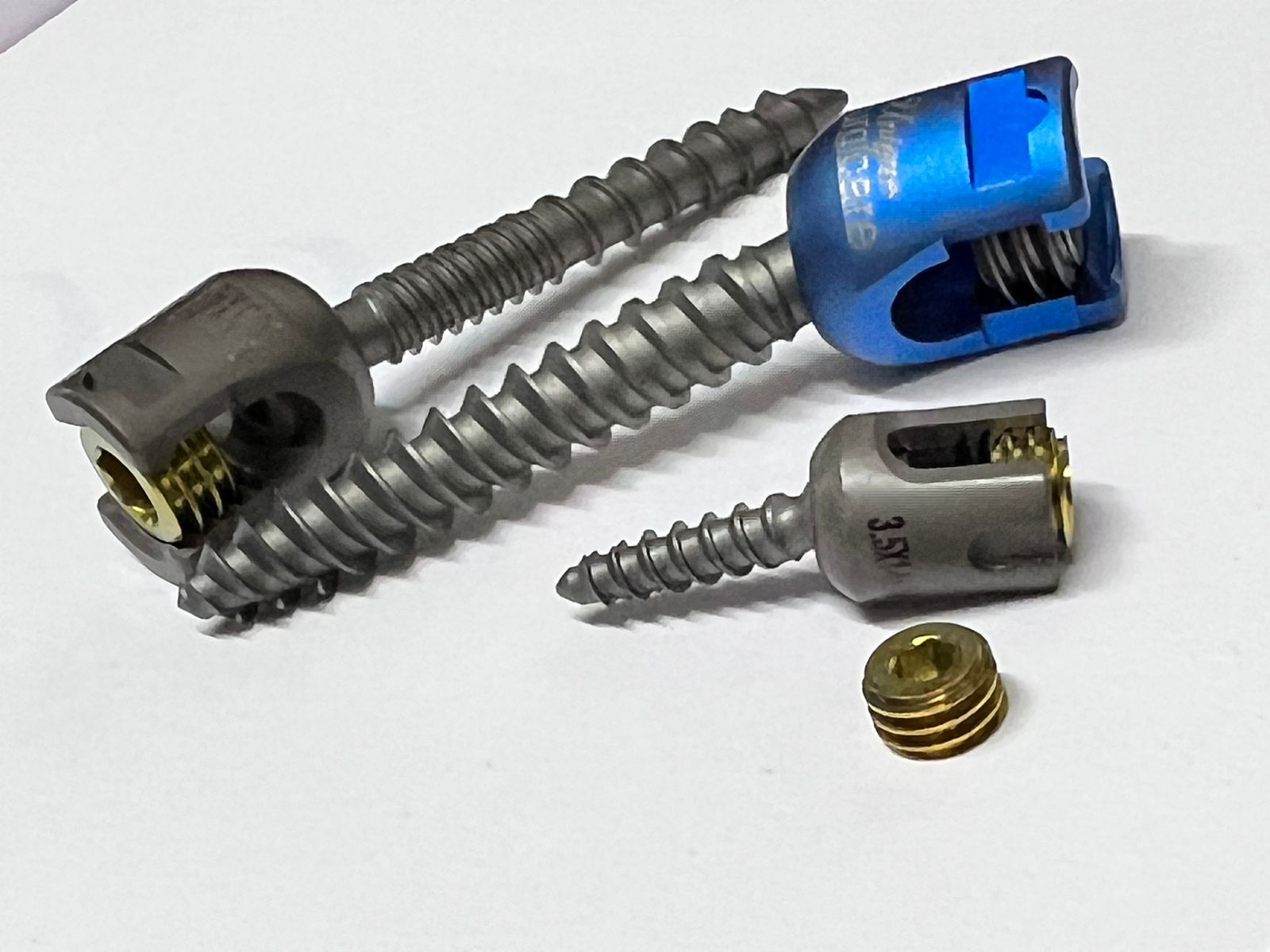 polyaxial pedicle spine screw